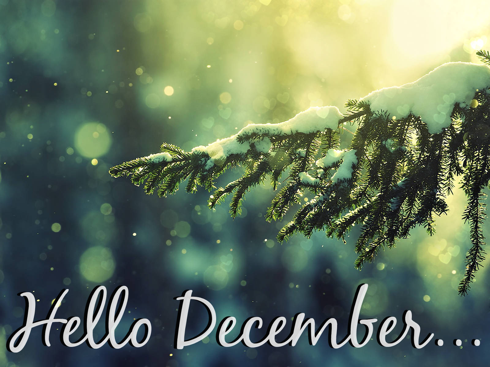 Hello December Wallpapers