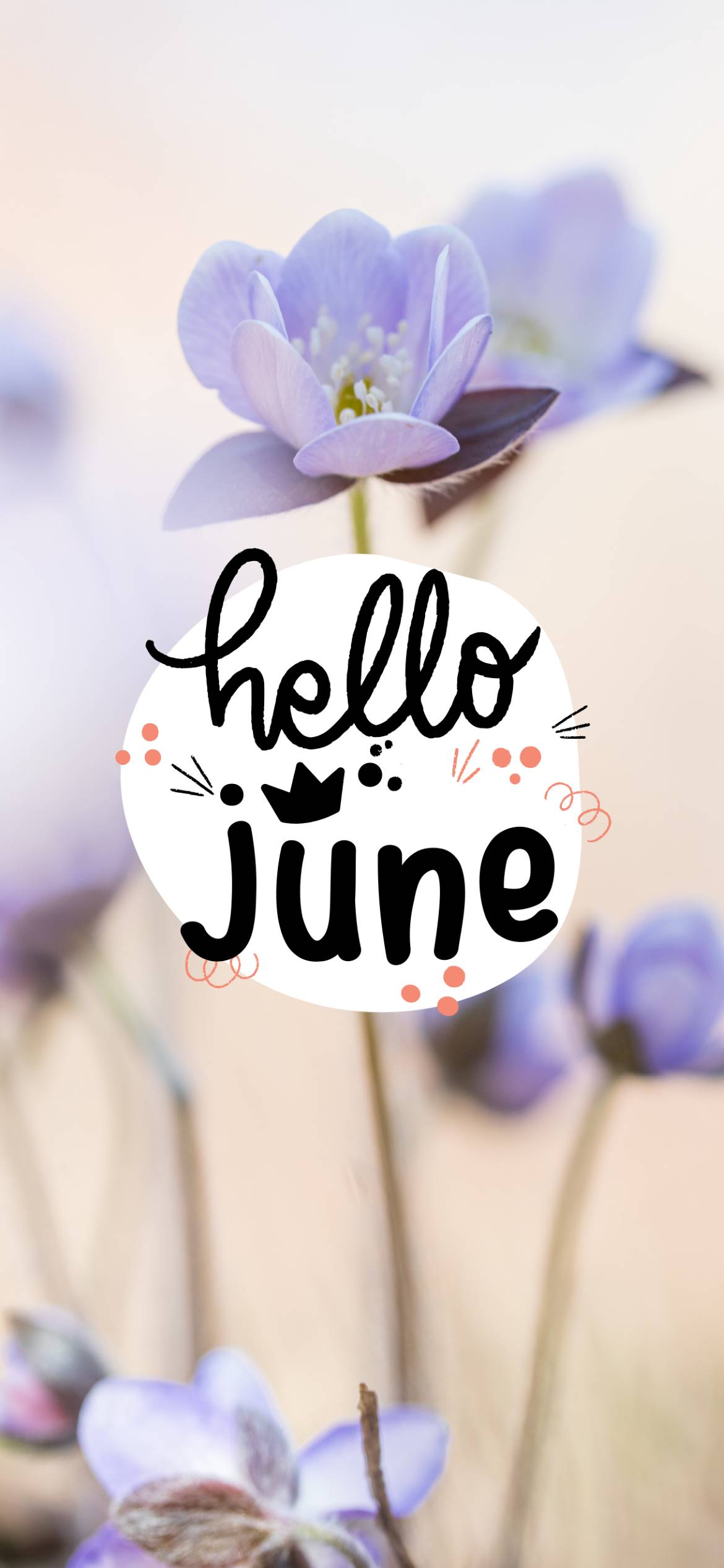 Hello June Wallpapers