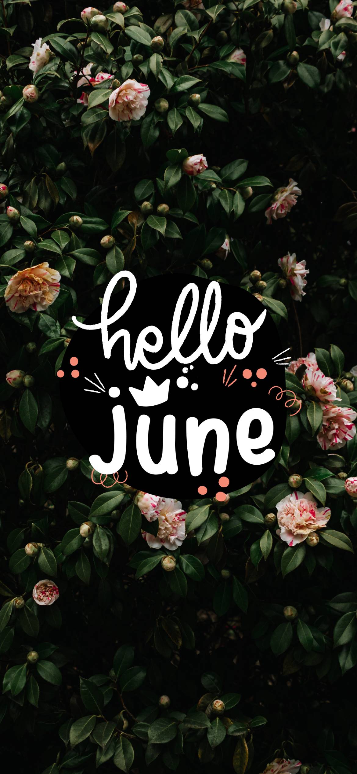 Hello June Wallpapers