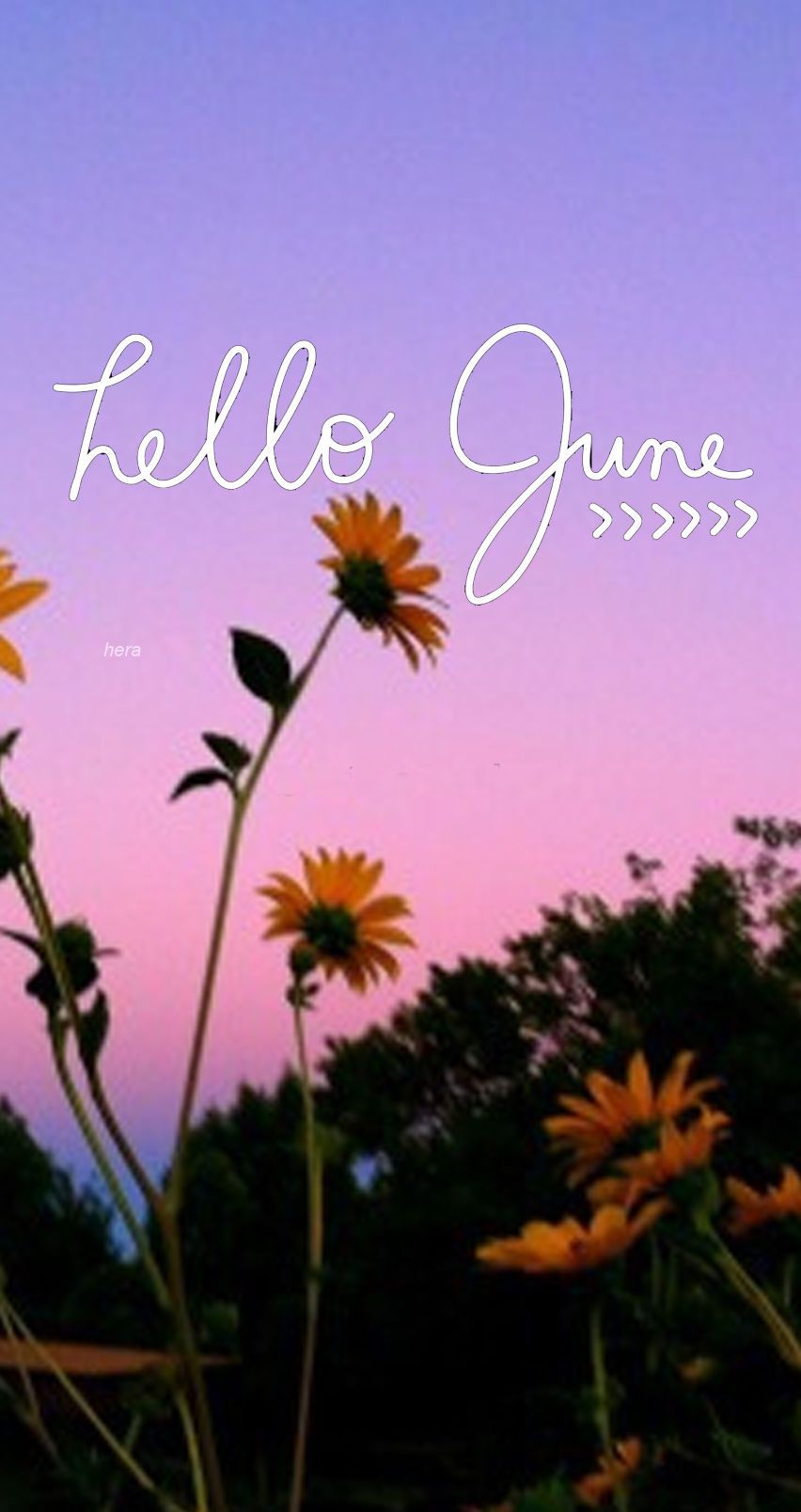 Hello June Wallpapers