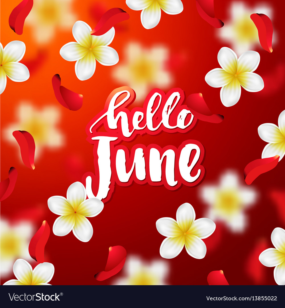 Hello June Wallpapers