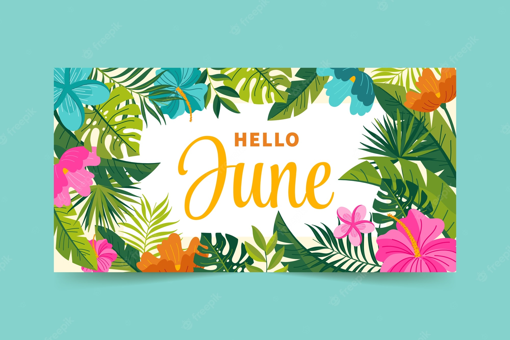 Hello June Wallpapers