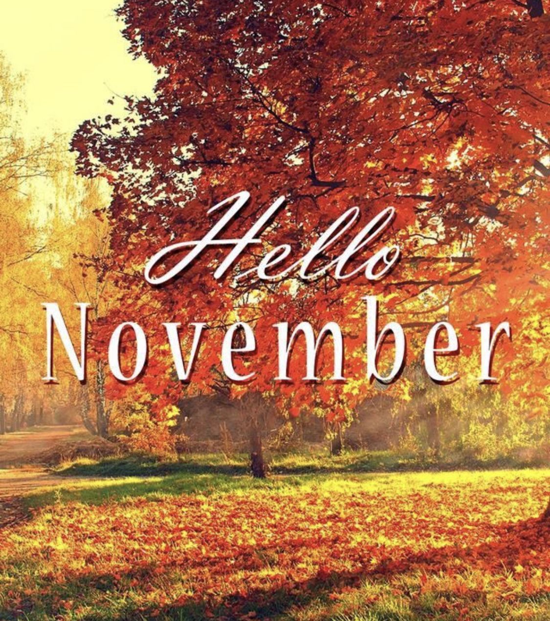 Hello November Wallpapers