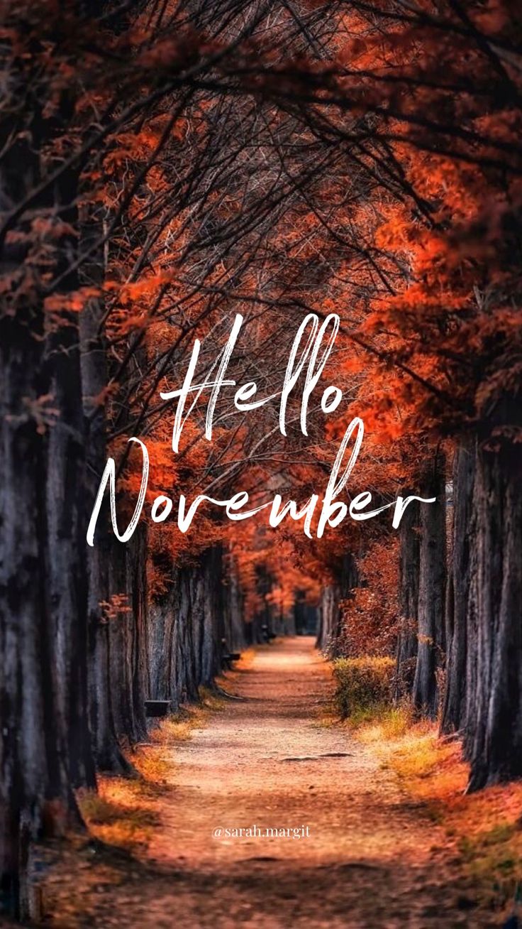 Hello November Wallpapers