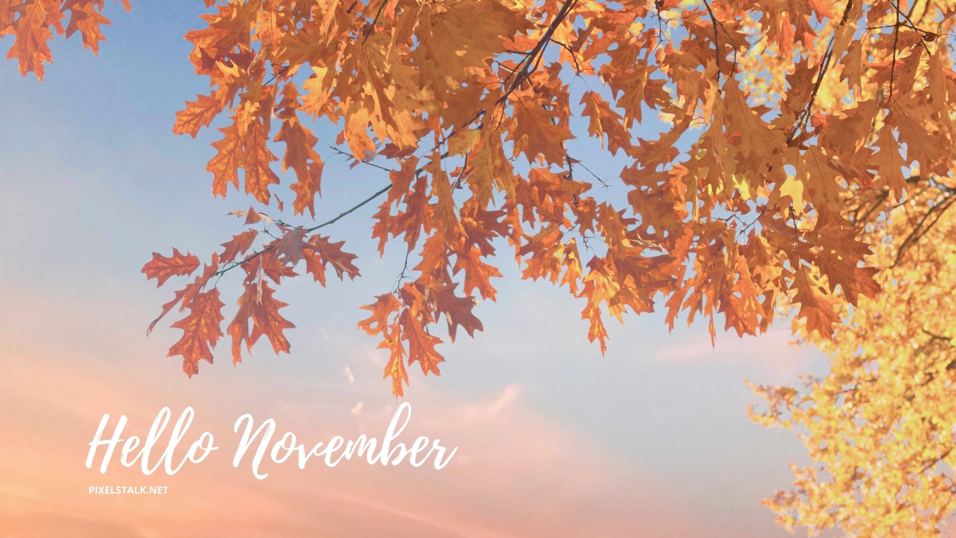 Hello November Wallpapers