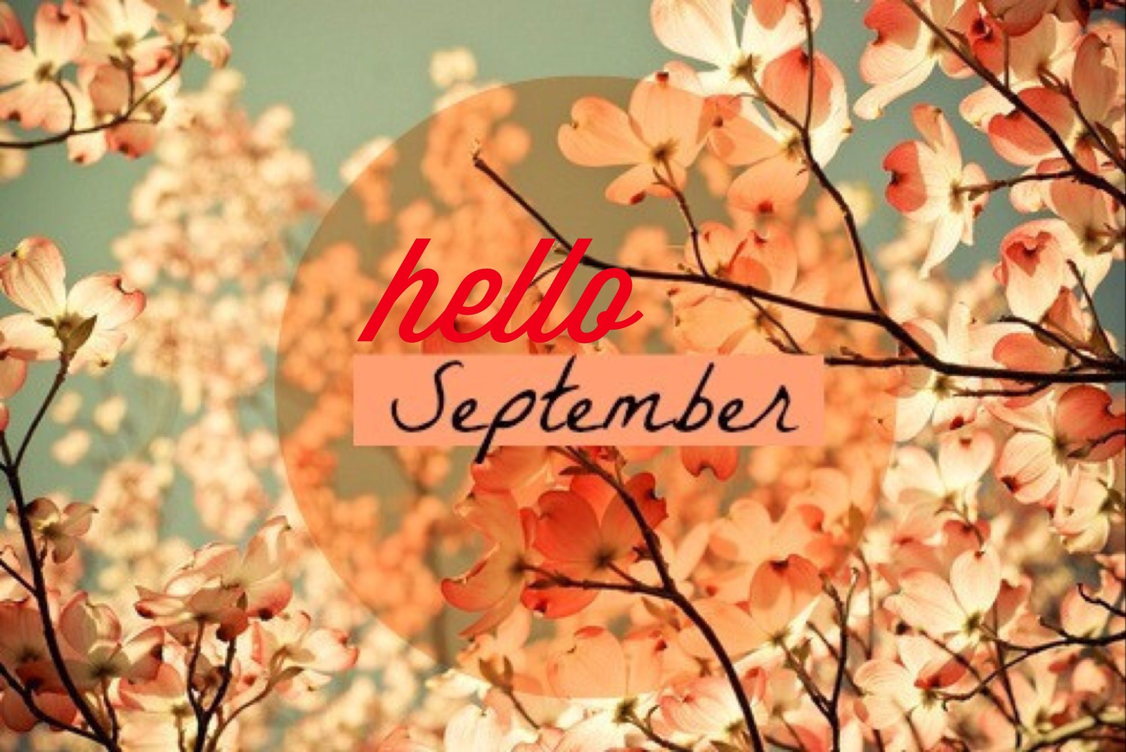 Hello September Images Wallpapers