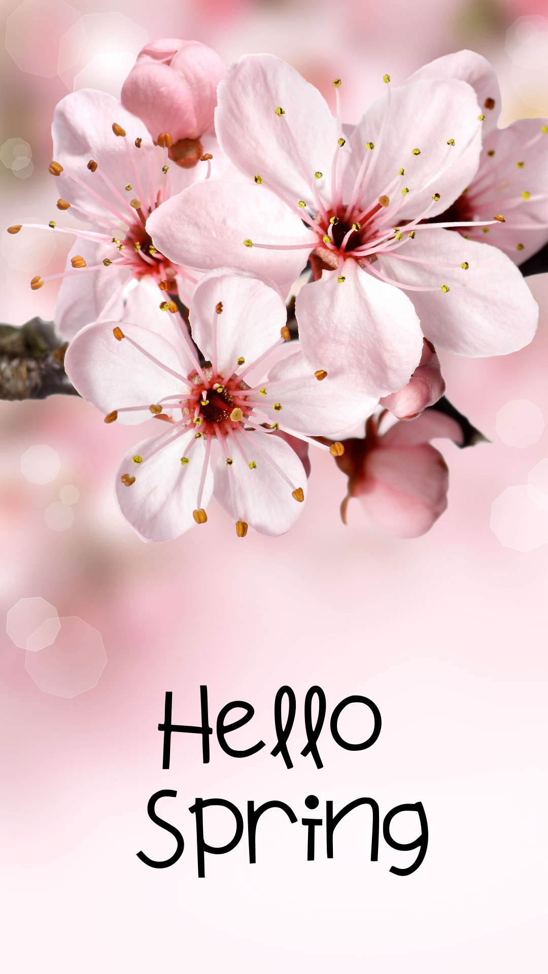 Hello Spring Wallpapers