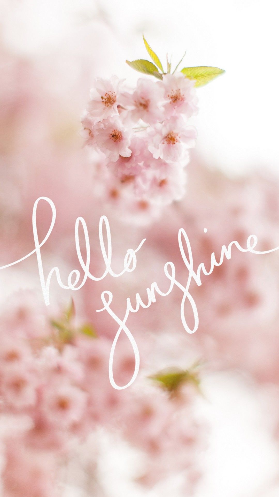 Hello Spring Wallpapers