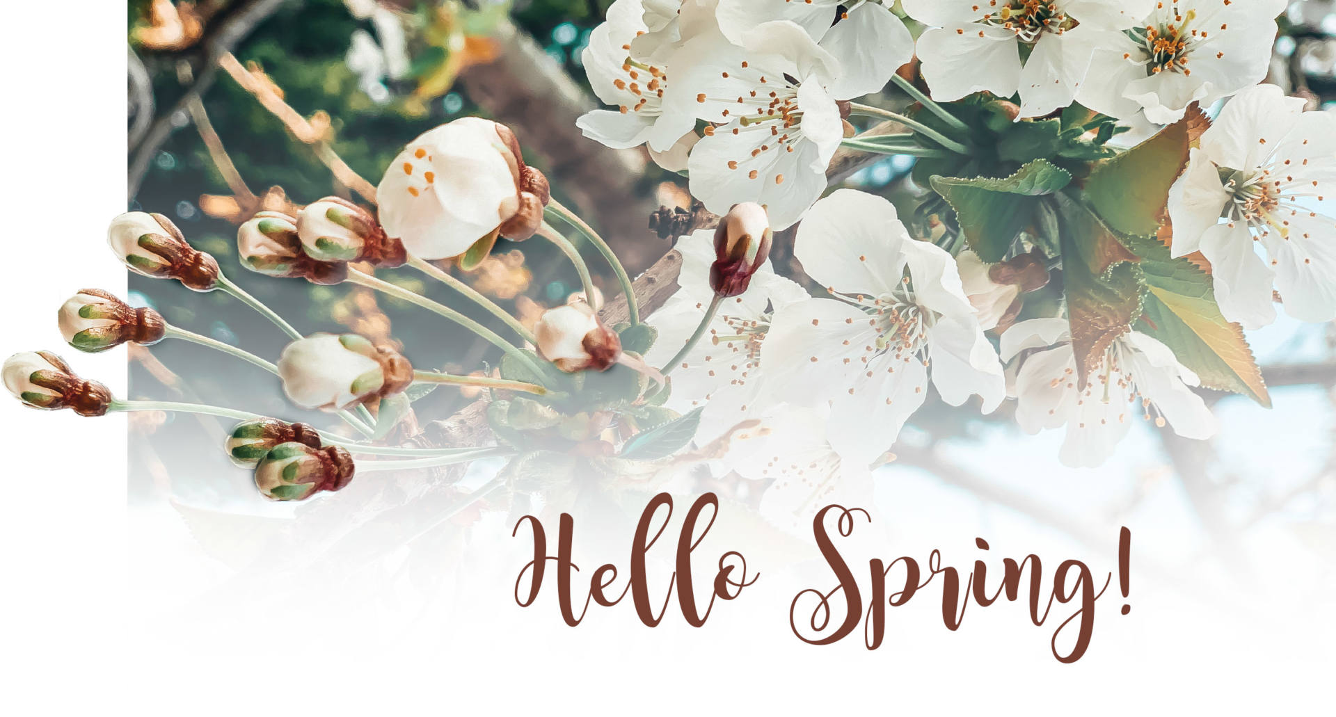 Hello Spring Wallpapers