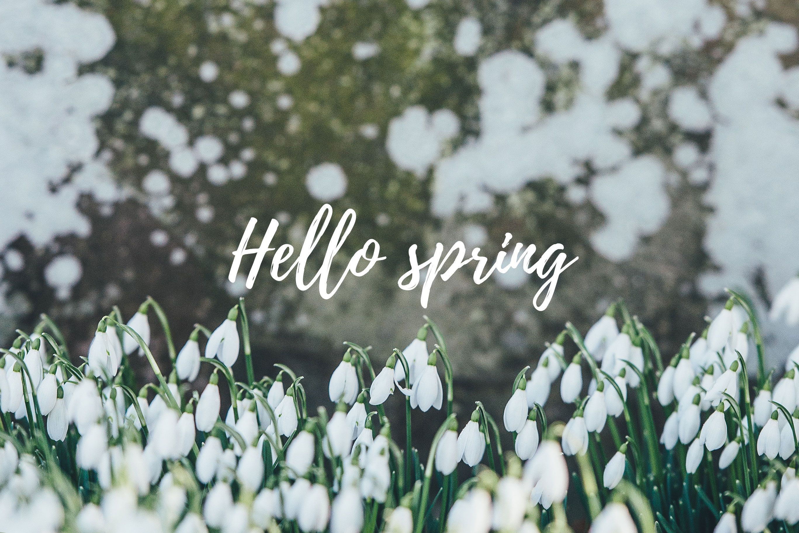 Hello Spring Wallpapers