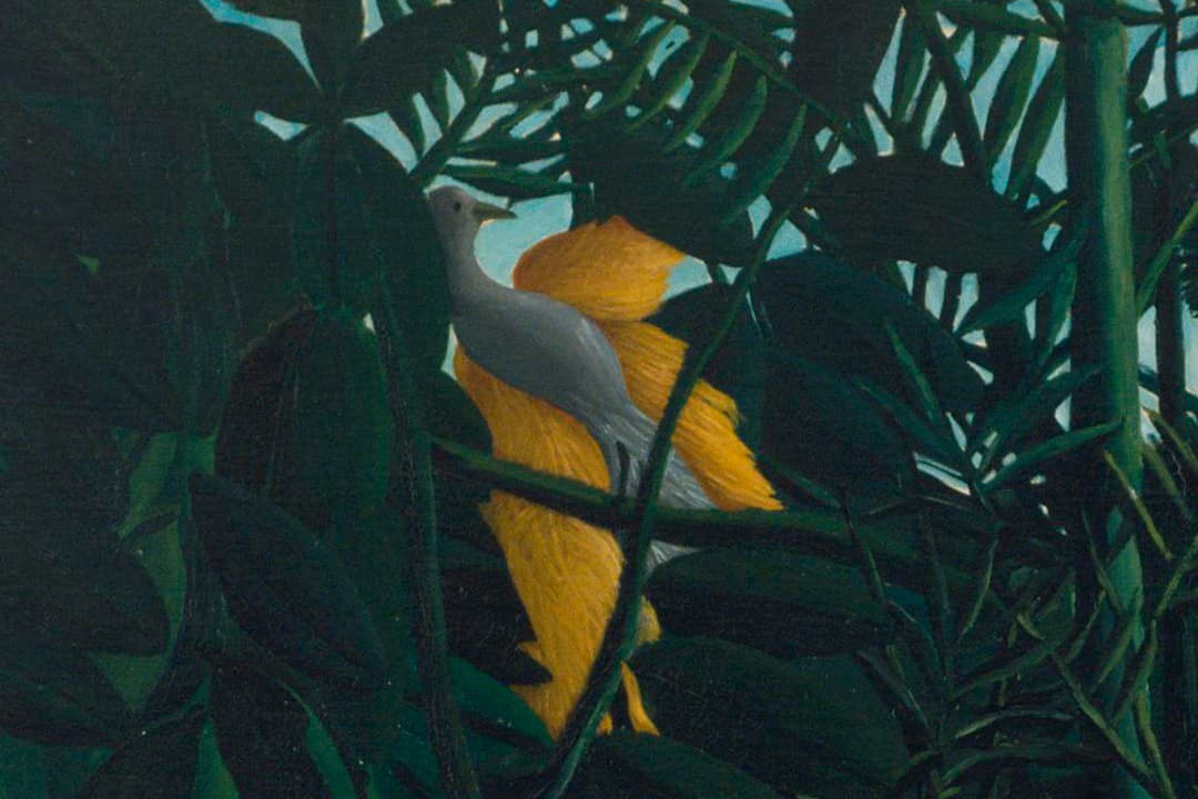 Henri Rousseau Wallpapers