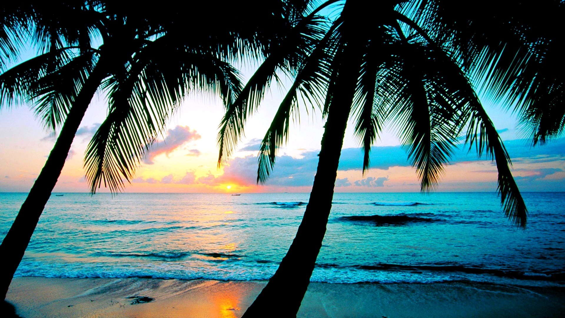 High Definition Tropical Wallpapers