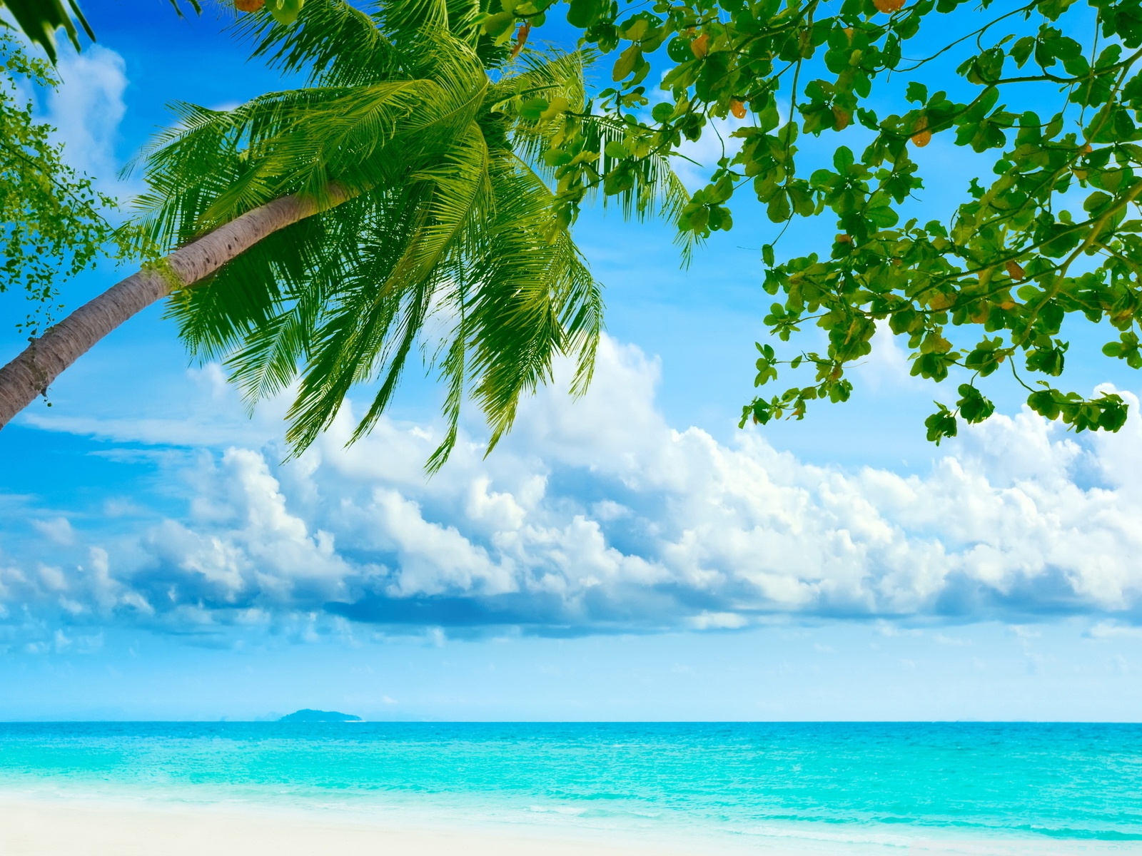 High Definition Tropical Wallpapers