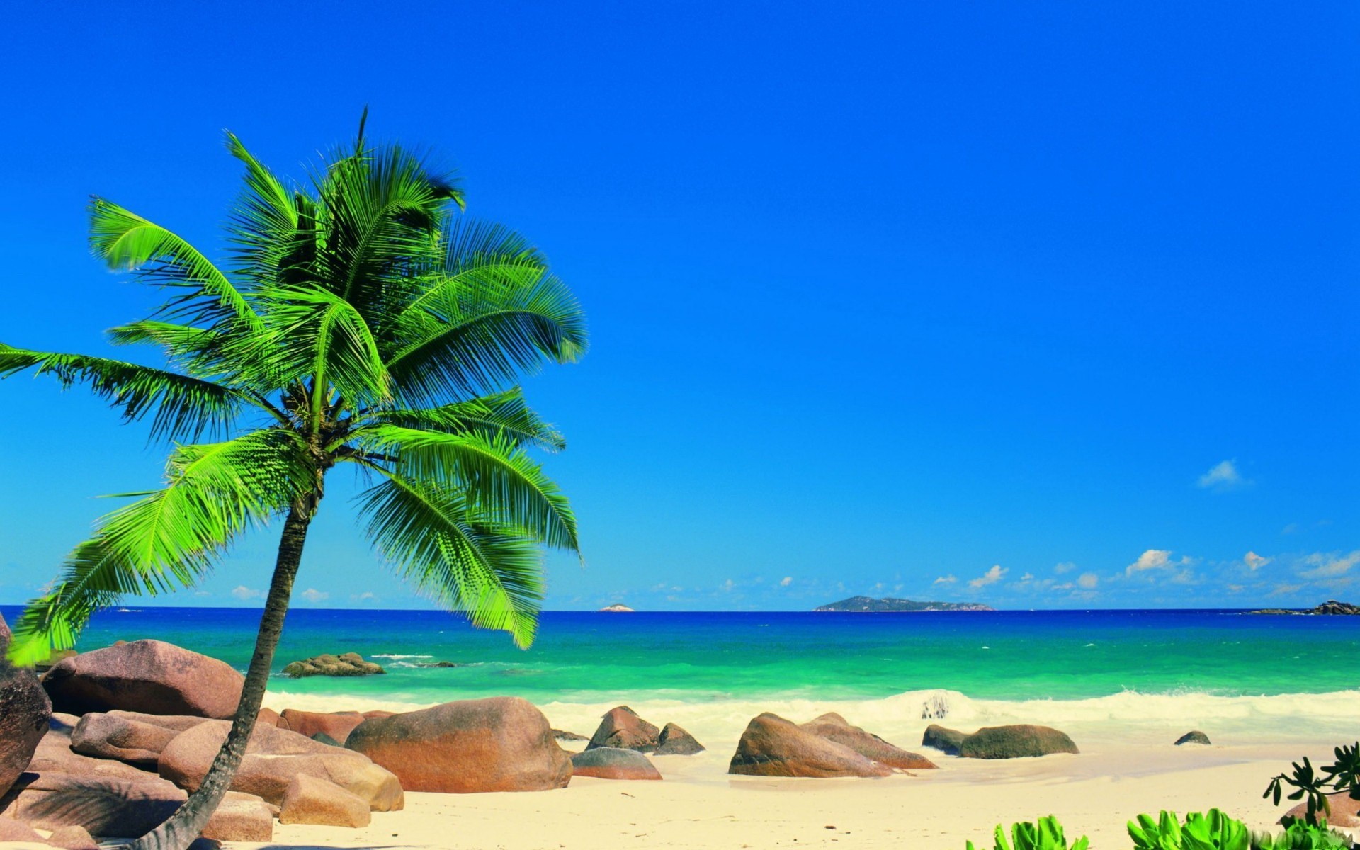 High Definition Tropical Wallpapers