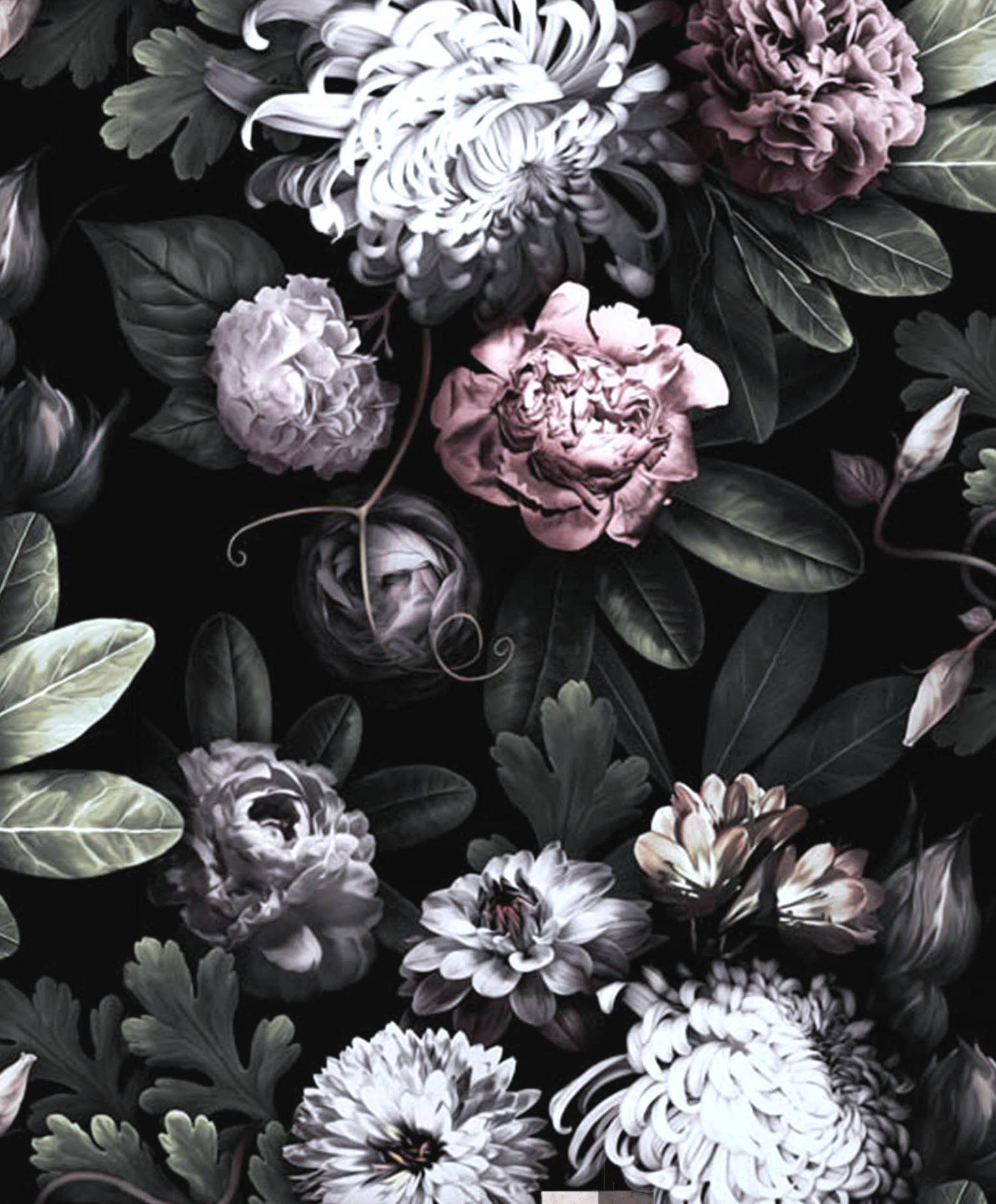 High Resolution Black Floral Wallpapers