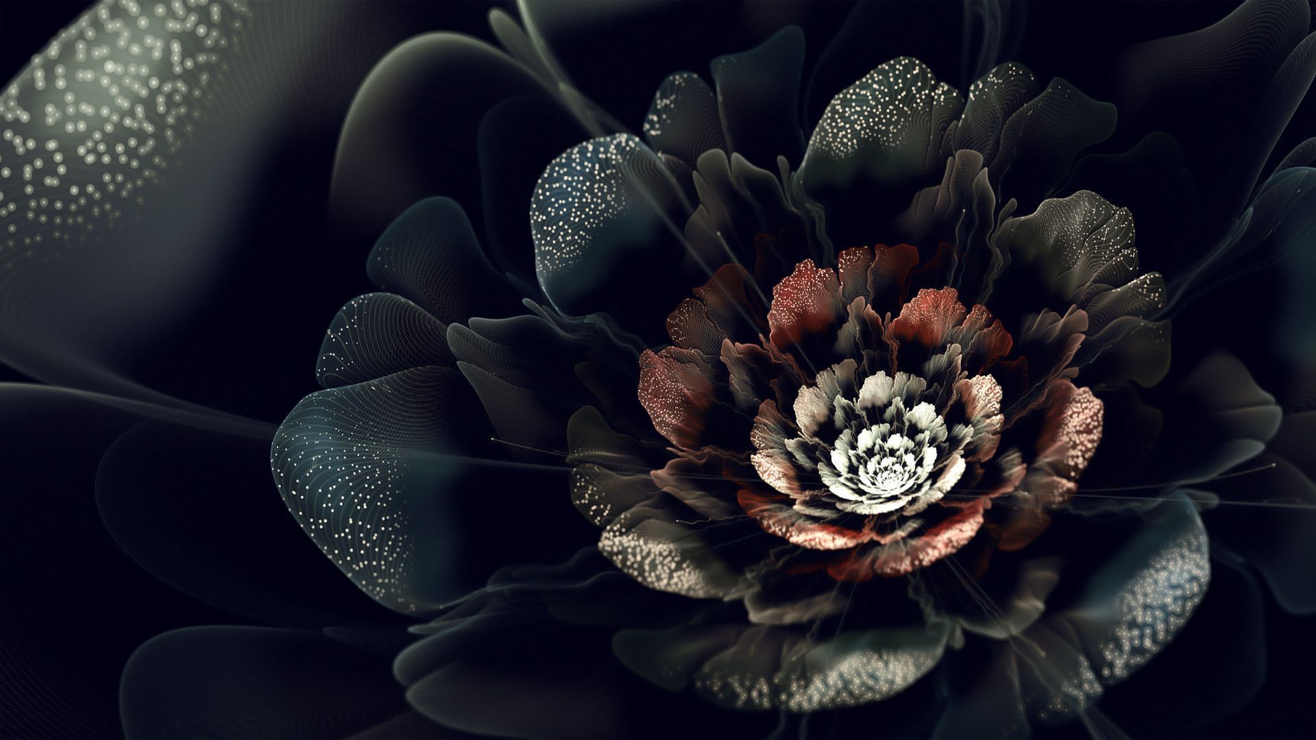 High Resolution Black Floral Wallpapers