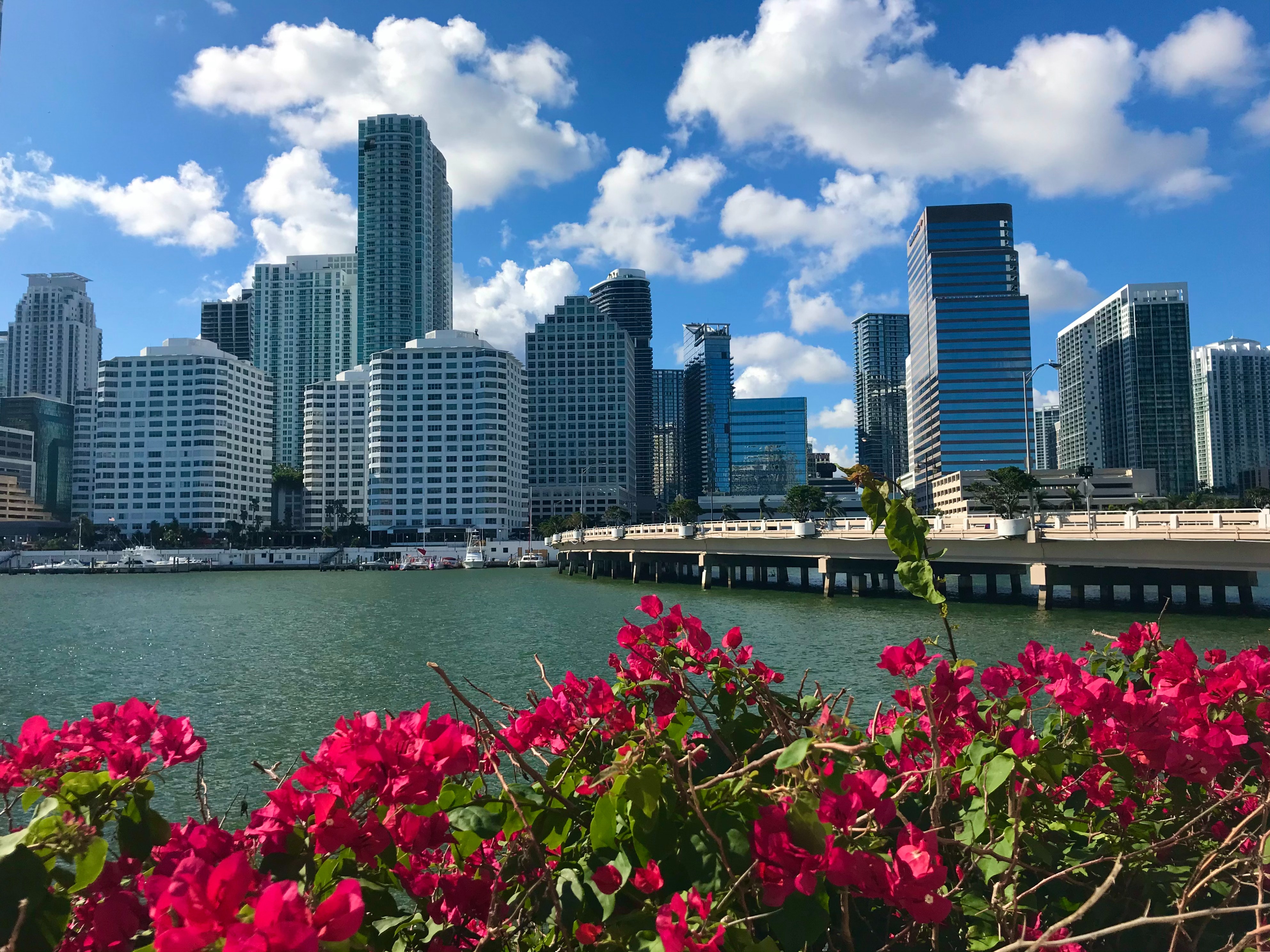 High Resolution Miami Skyline Wallpapers