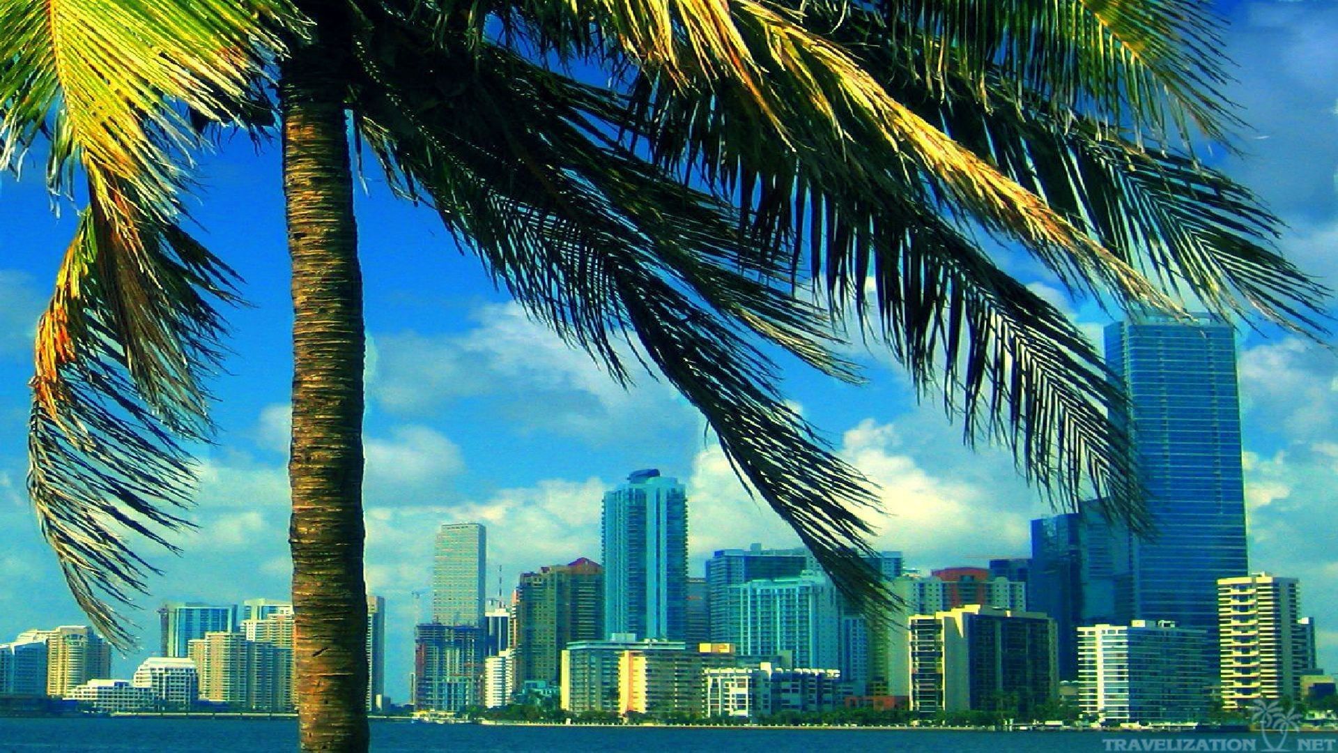 High Resolution Miami Skyline Wallpapers