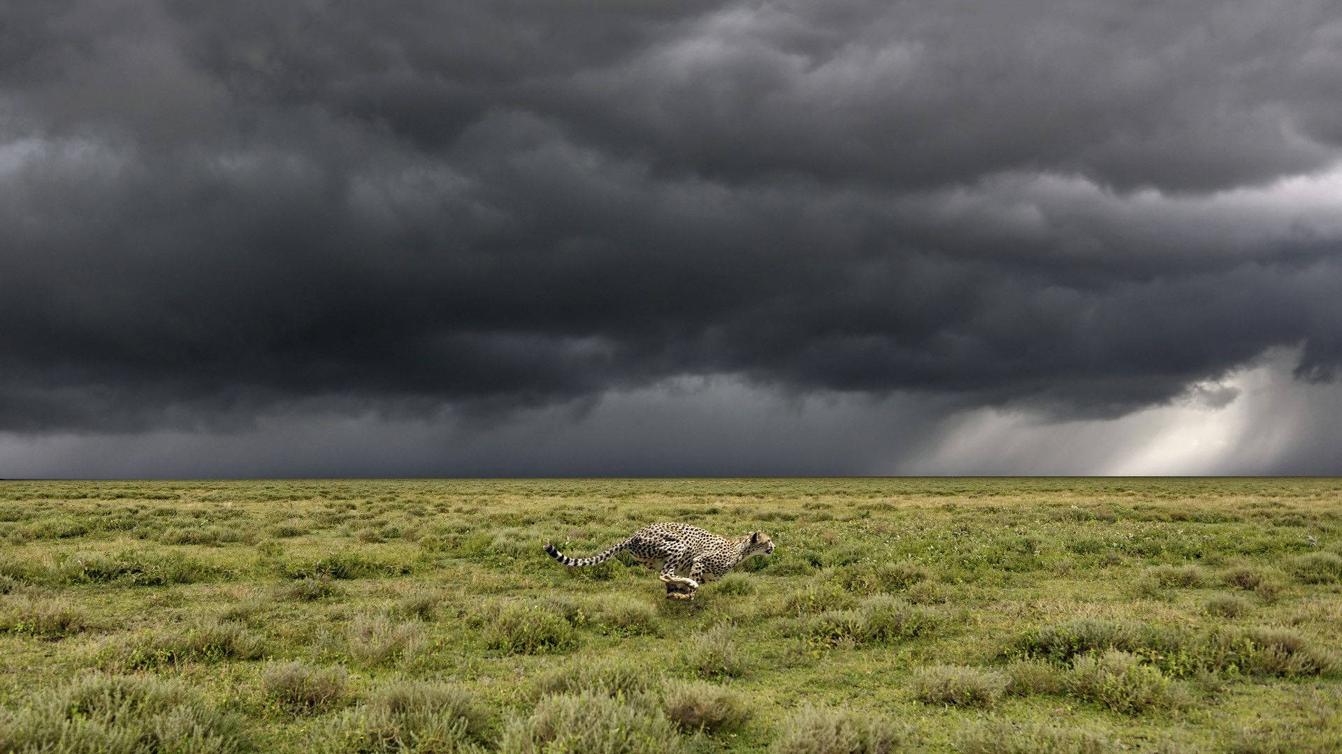 High Resolution Storm Clouds Wallpapers