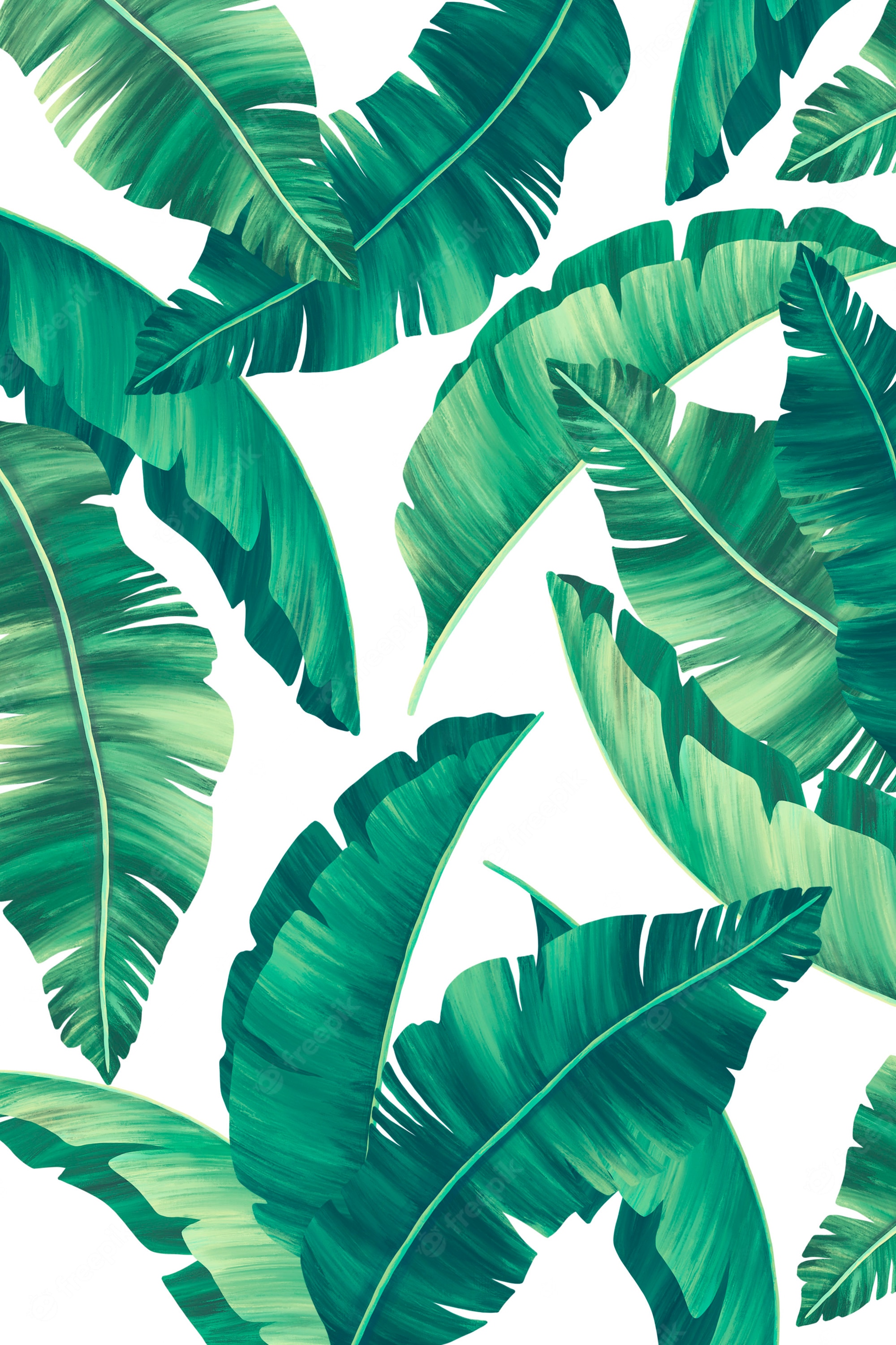 High Resolution Tropical Leaves Hd Wallpapers