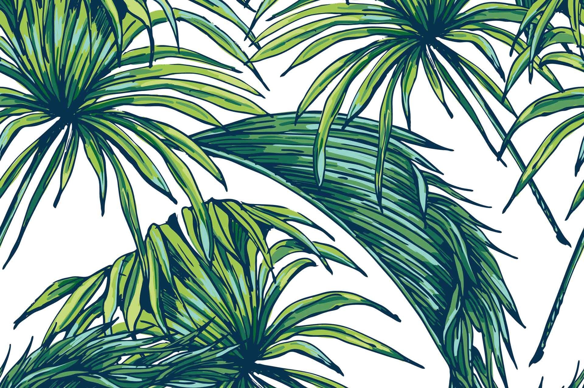 High Resolution Tropical Leaves Hd Wallpapers