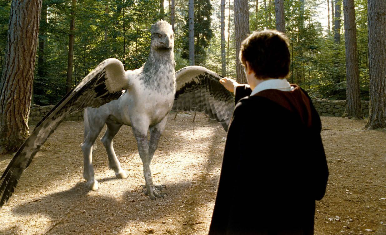 Hippogriff Patronus Wallpapers