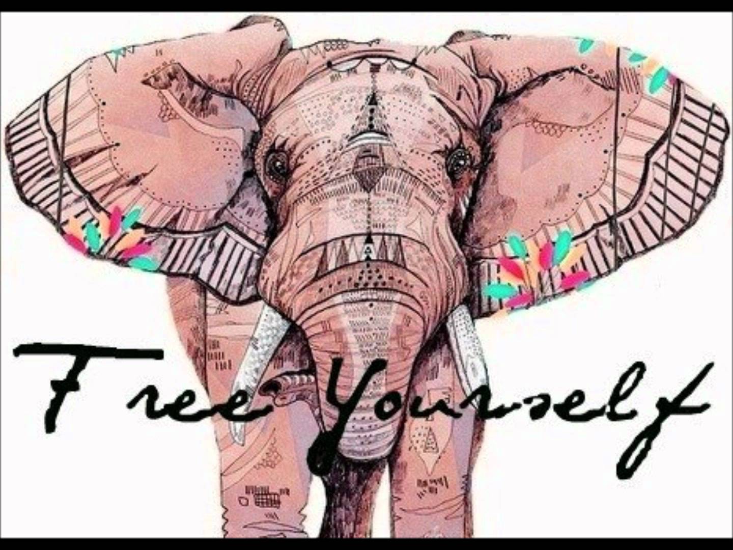 Hipster Elephant Wallpapers