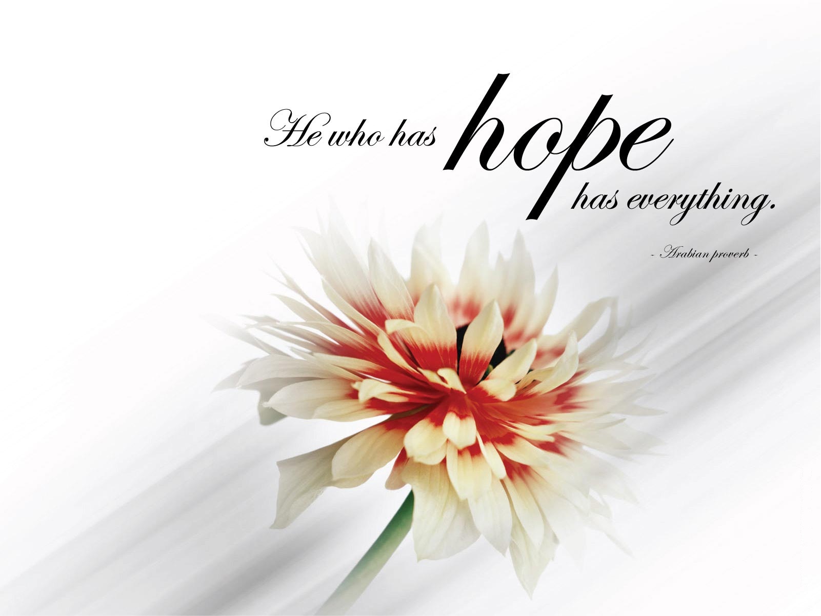 Hope Quotes Images Wallpapers