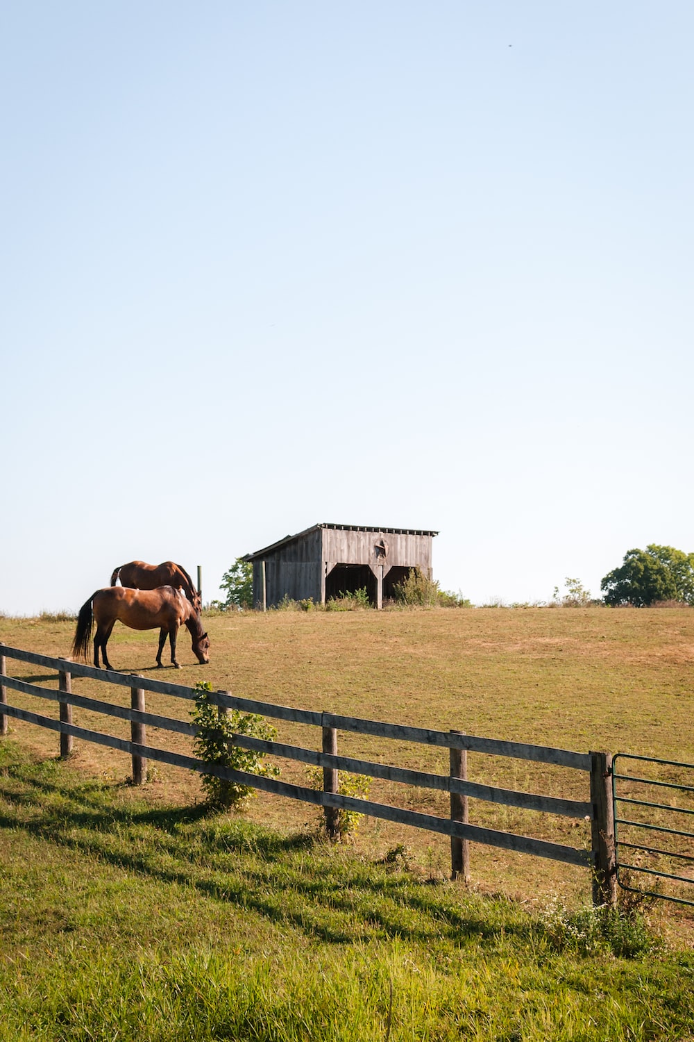 Horse Ranch Wallpapers