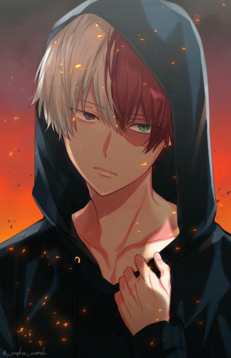 Hot Todoroki Wallpapers