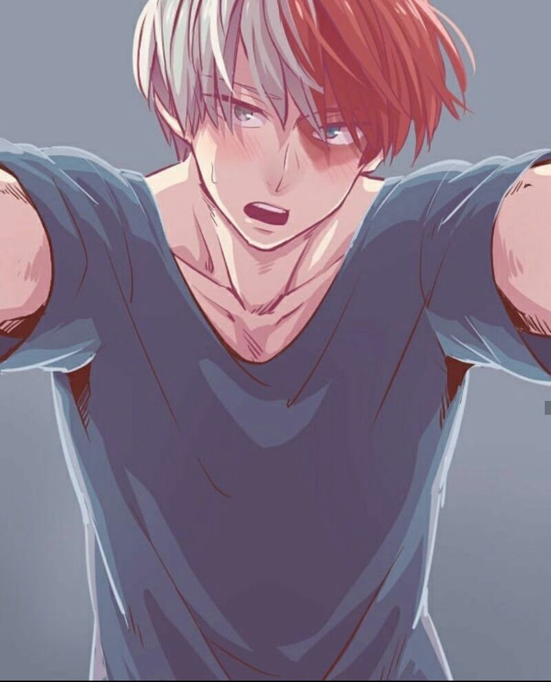 Hot Todoroki Wallpapers