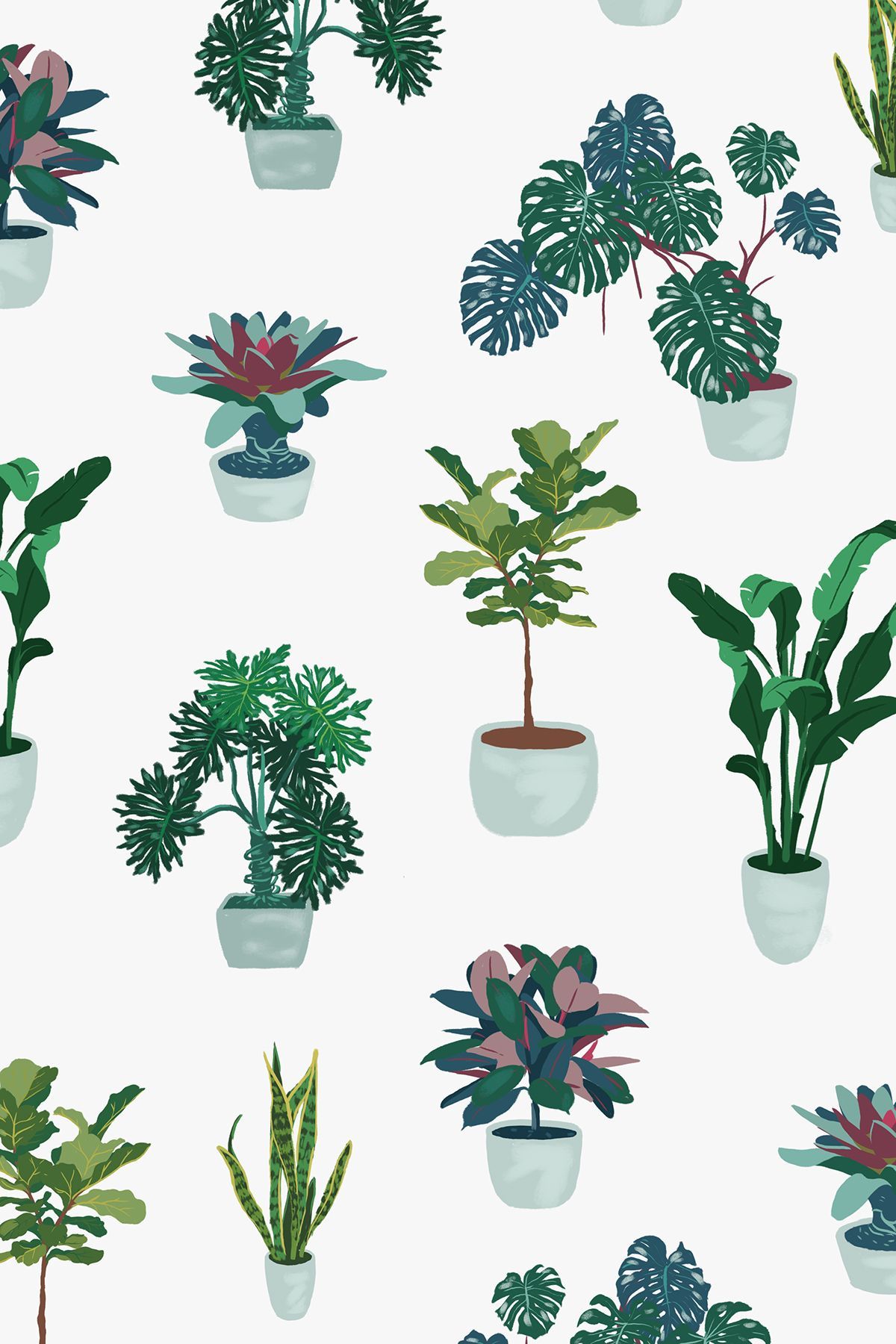 Houseplant Wallpapers