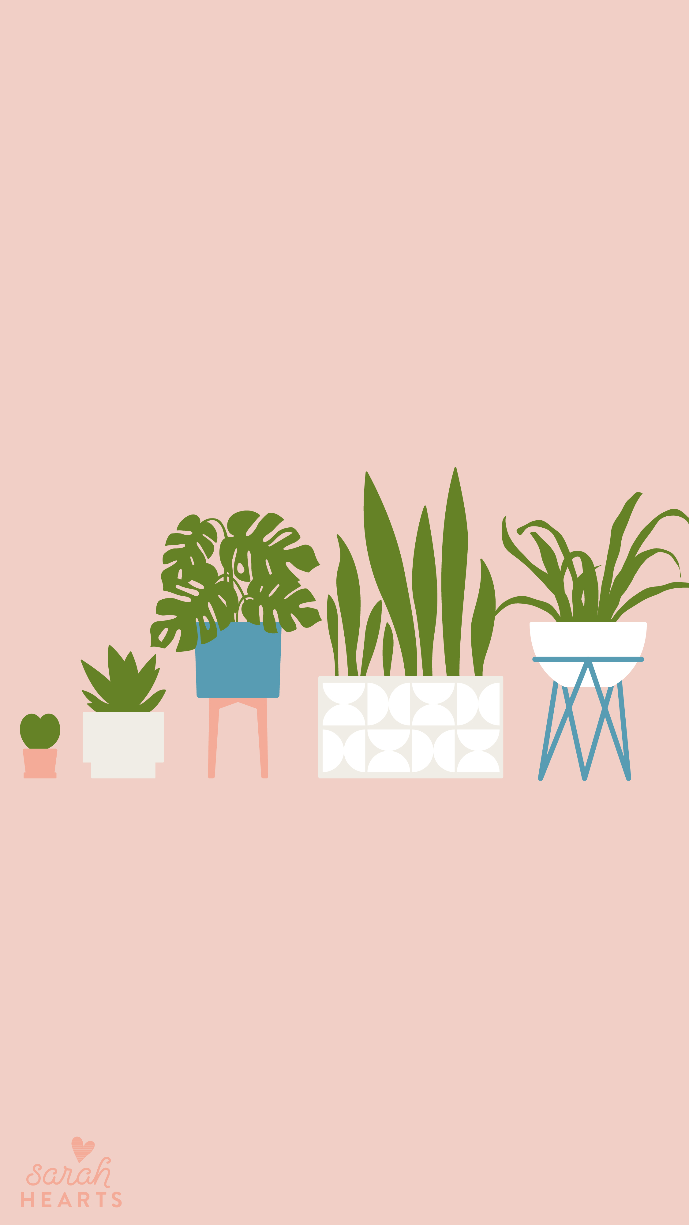 Houseplant Wallpapers