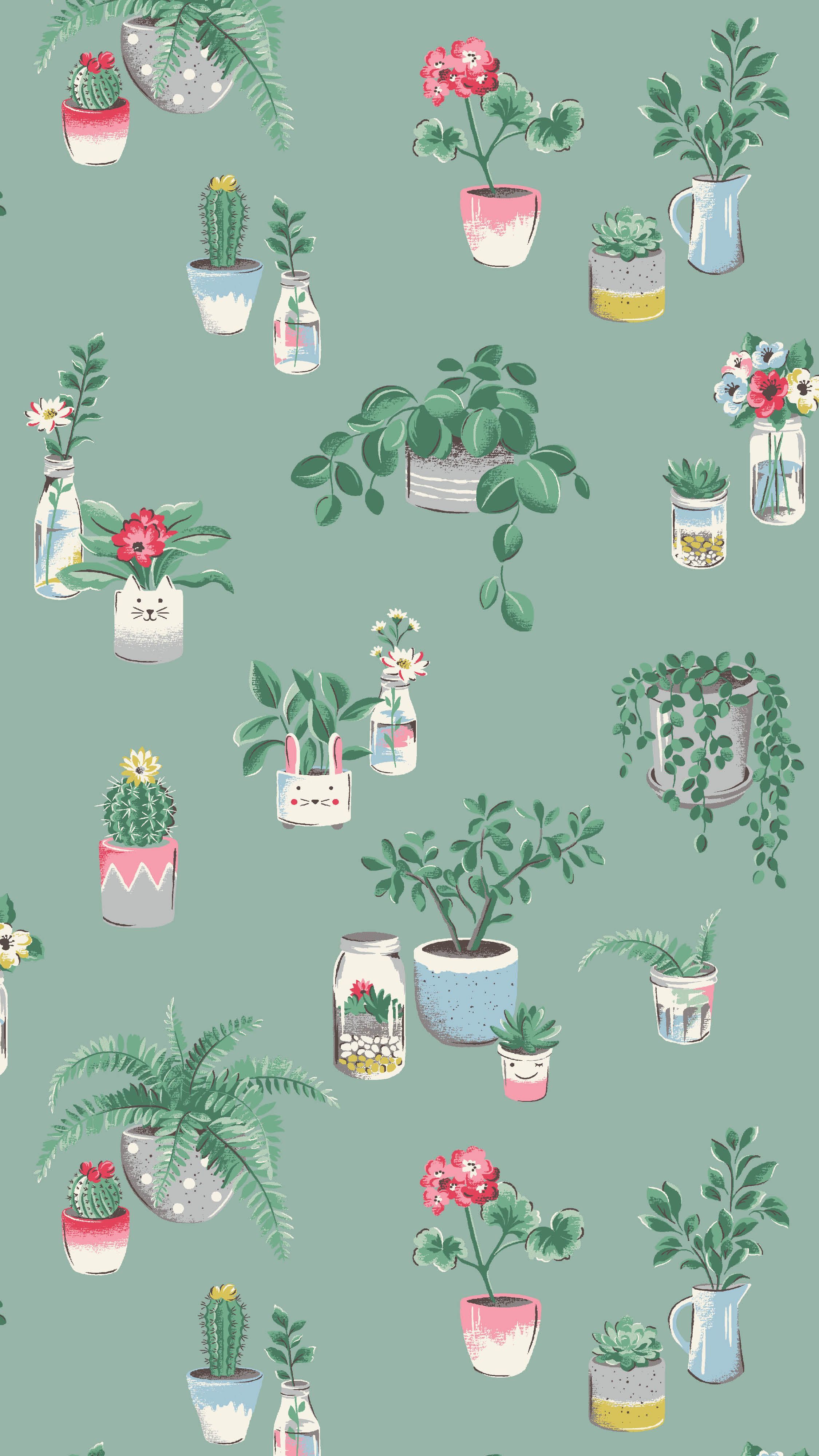 Houseplant Wallpapers