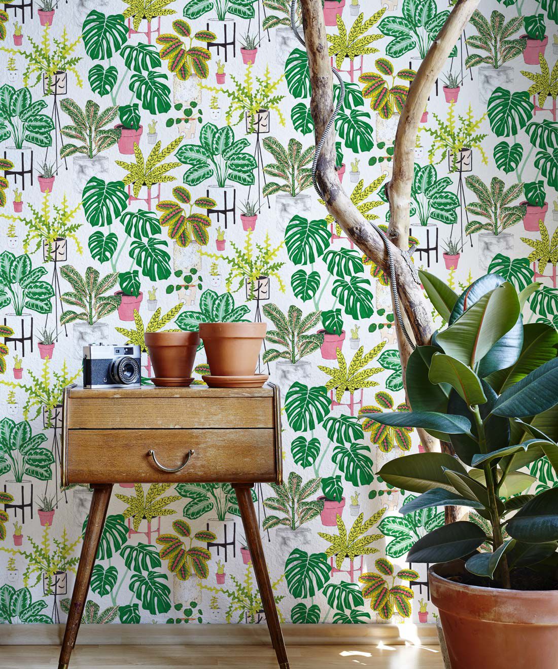 Houseplants Wallpapers