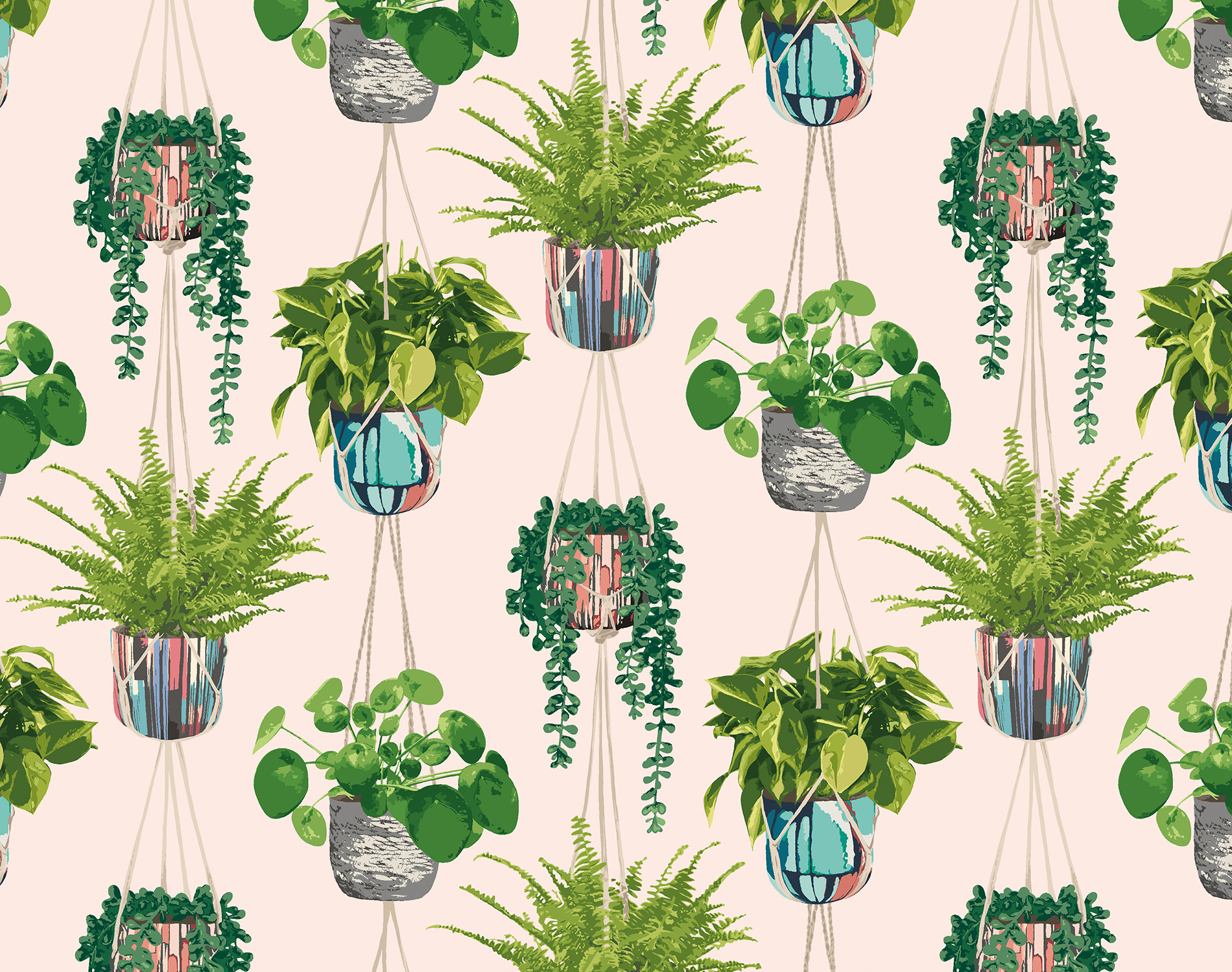 Houseplants Wallpapers