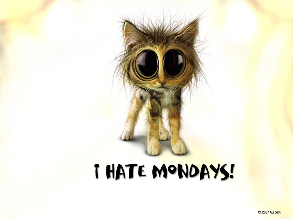 I Hate Monday Wallpapers