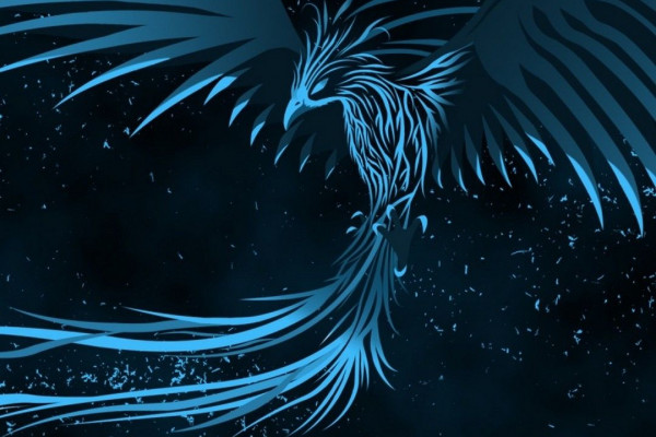 Ice Phoenix Wallpapers