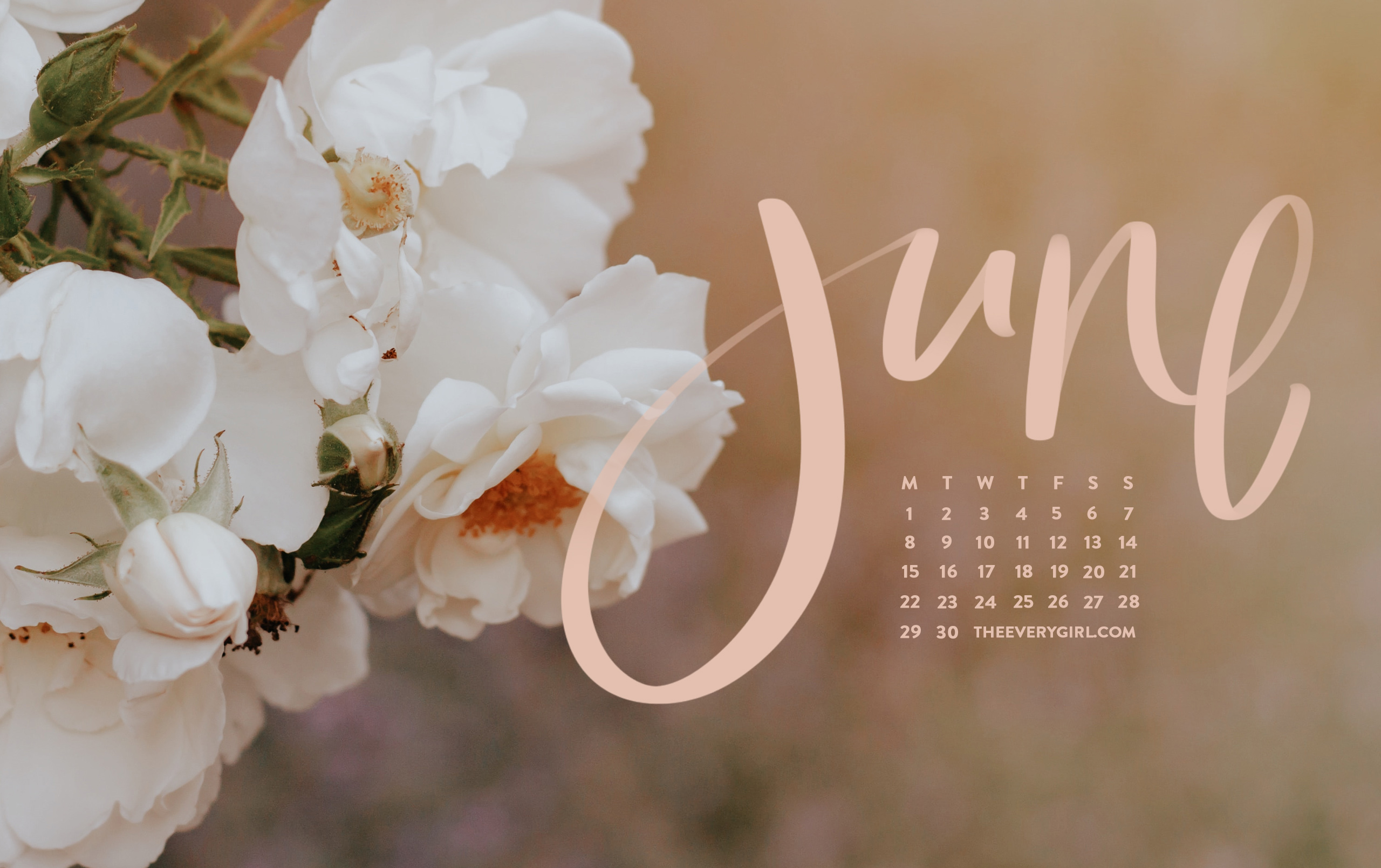 Images Of June 2020 Calendar Wallpapers