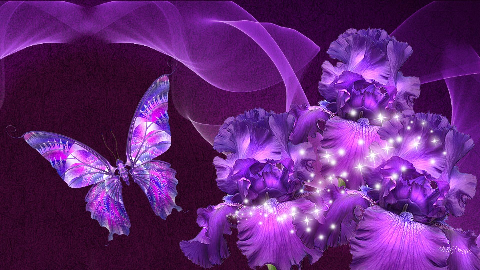 Images Of Purple Roses And Butterflies Wallpapers