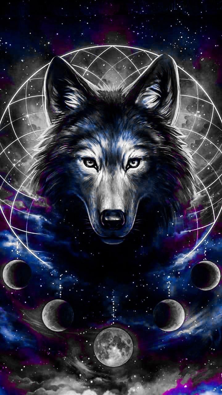 Indians And Wolves Wallpapers