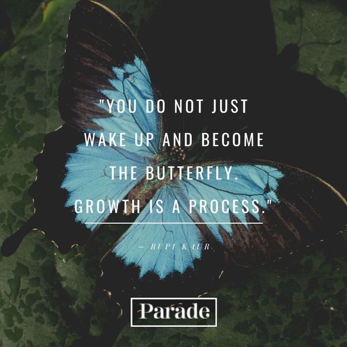 Inspirational Butterfly Quotes Wallpapers