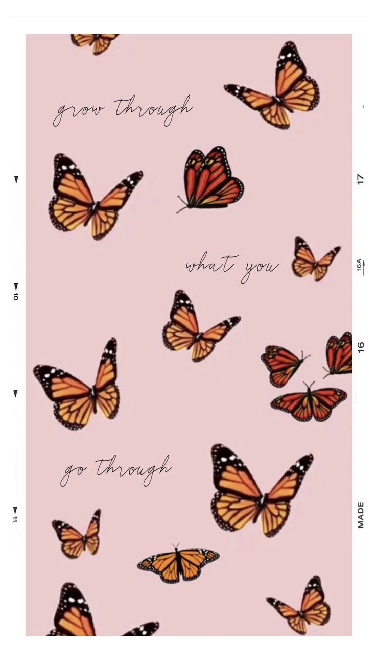 Inspirational Butterfly Quotes Wallpapers