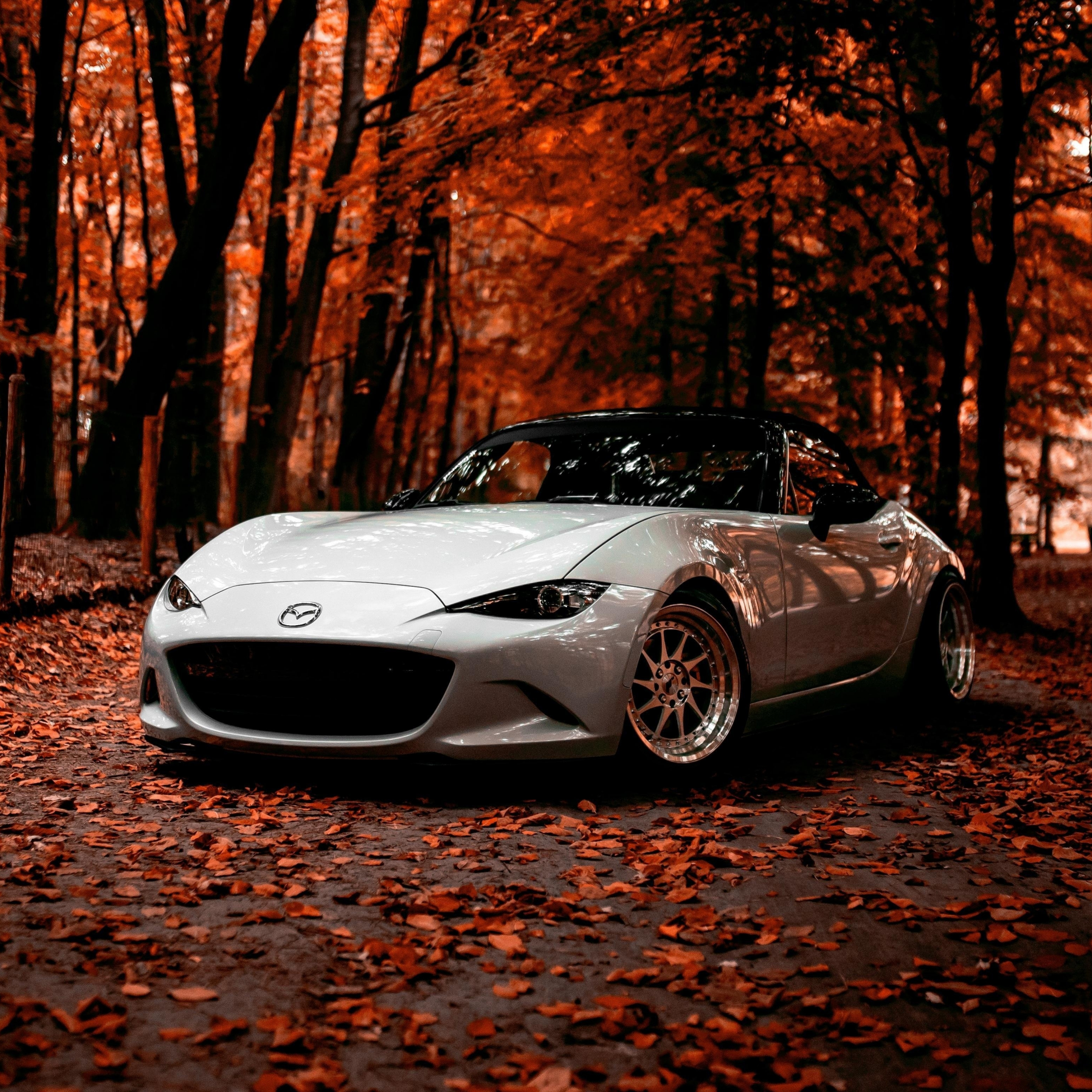 Ipad Car Wallpapers