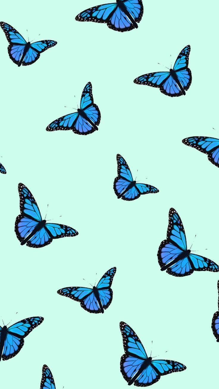 Iphone Butterfly Emoji Wallpapers