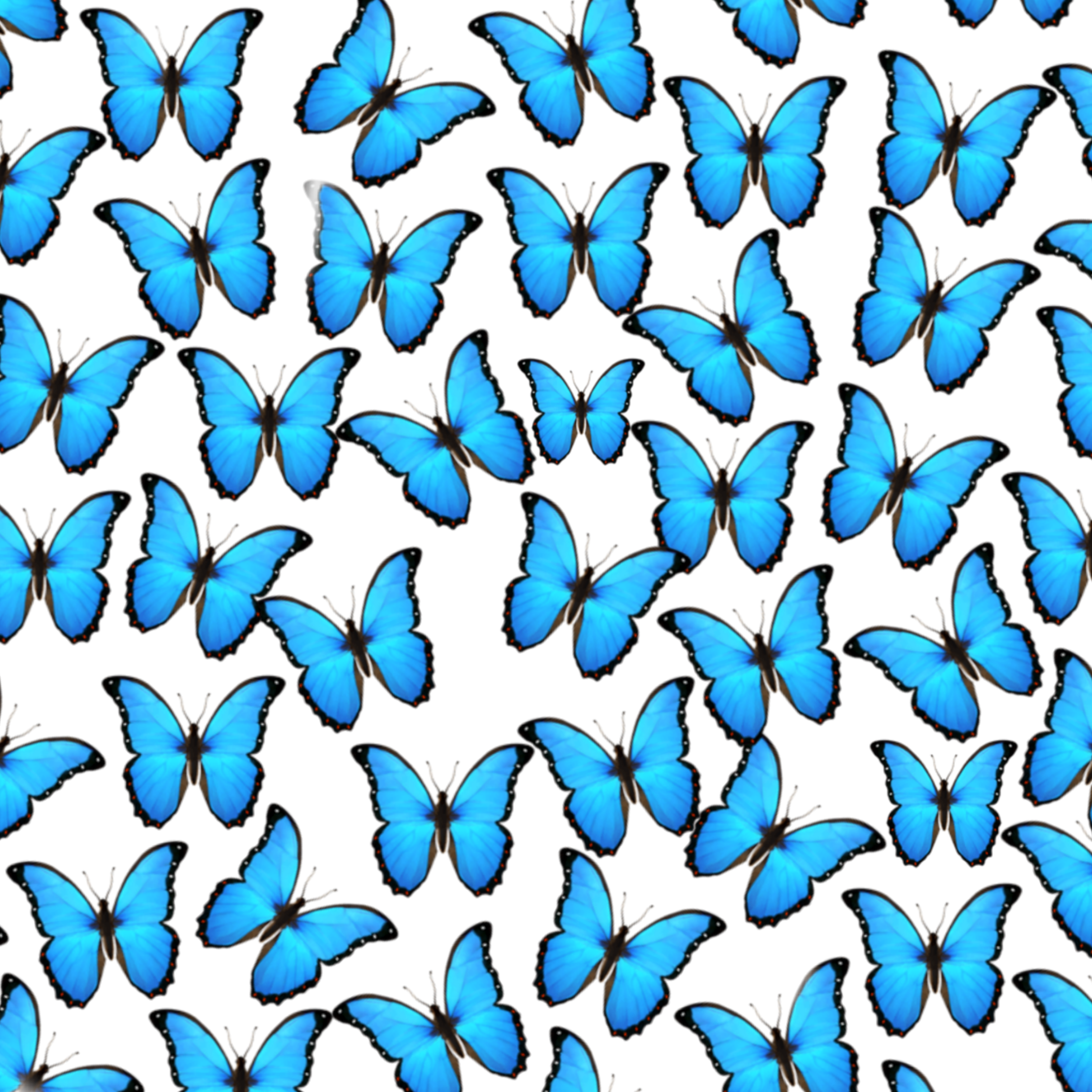 Iphone Butterfly Emoji Wallpapers