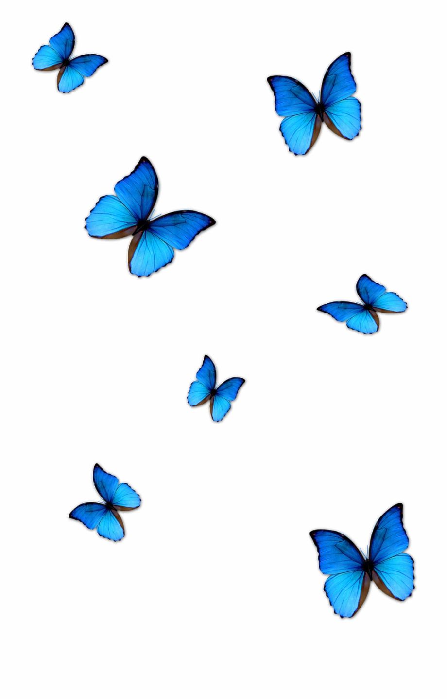 Iphone Butterfly Emoji Wallpapers