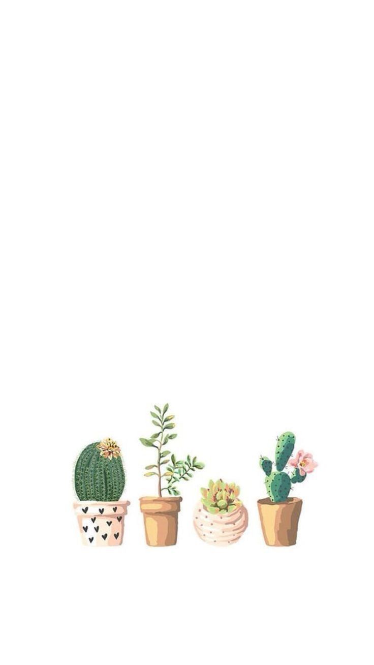 Iphone Cactus Wallpapers