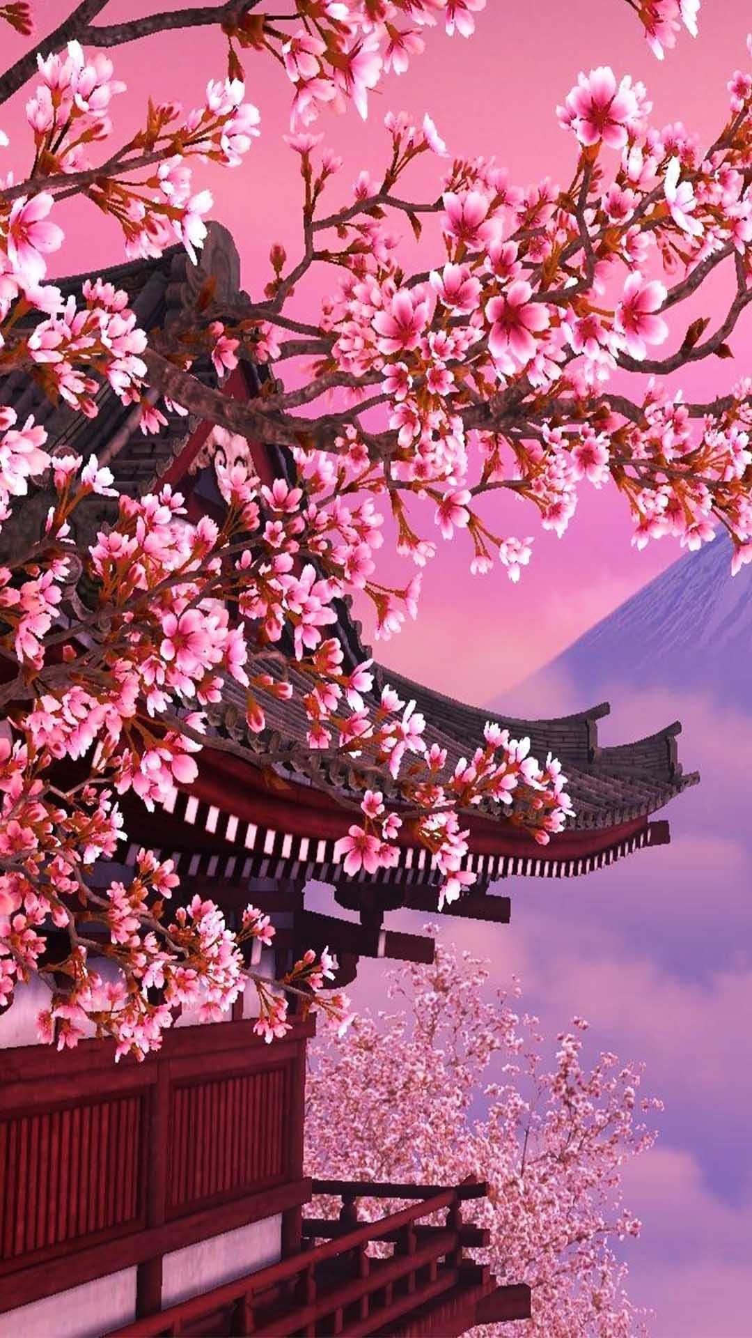 Iphone Cherry Blossom Wallpapers