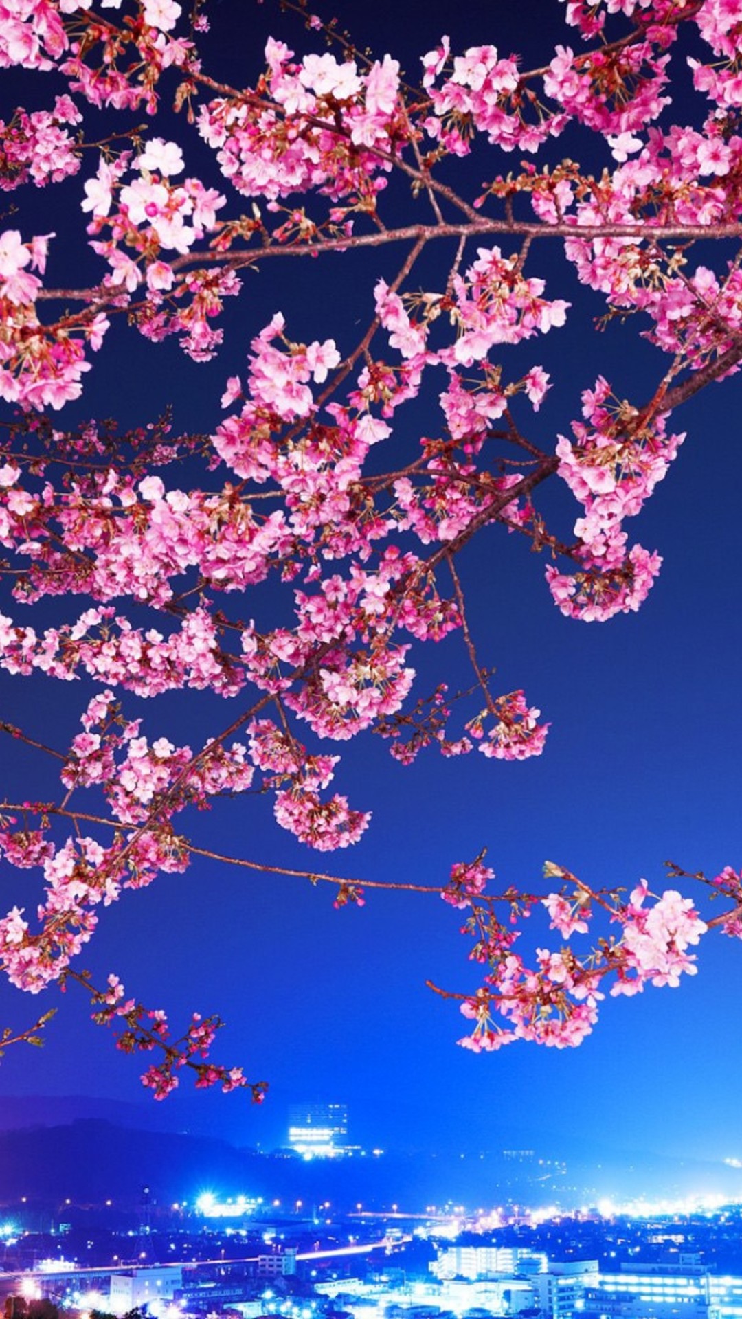 Iphone Cherry Blossom Wallpapers